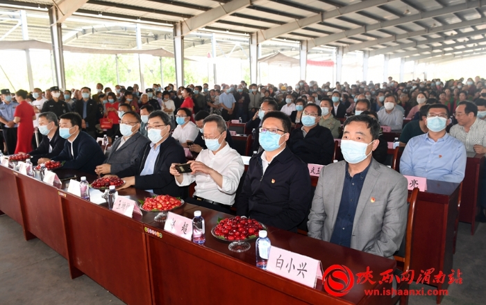 樱桃千万家 唯品方寨红 合阳第五届“方寨红”樱桃推介会举办（高清组图）
