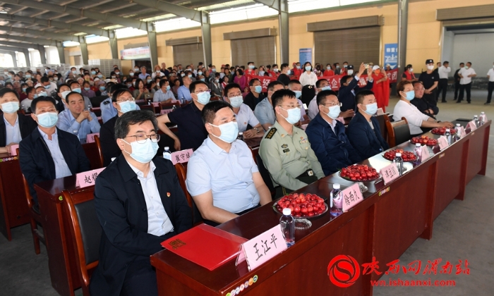 樱桃千万家 唯品方寨红 合阳第五届“方寨红”樱桃推介会举办（高清组图）