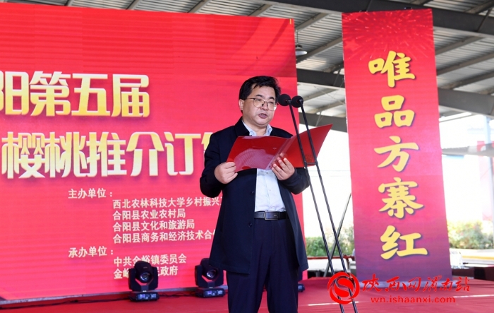 樱桃千万家 唯品方寨红 合阳第五届“方寨红”樱桃推介会举办（高清组图）