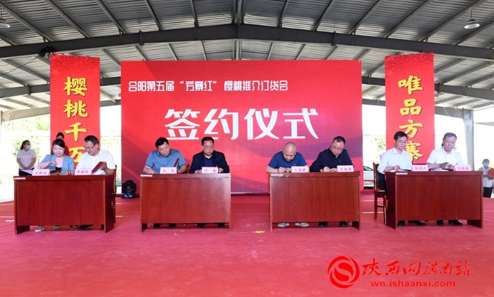 樱桃千万家 唯品方寨红 合阳第五届“方寨红”樱桃推介会举办（高清组图）