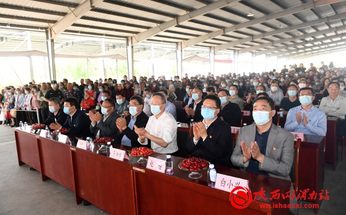 樱桃千万家 唯品方寨红 合阳第五届“方寨红”樱桃推介会举办（高清组图）