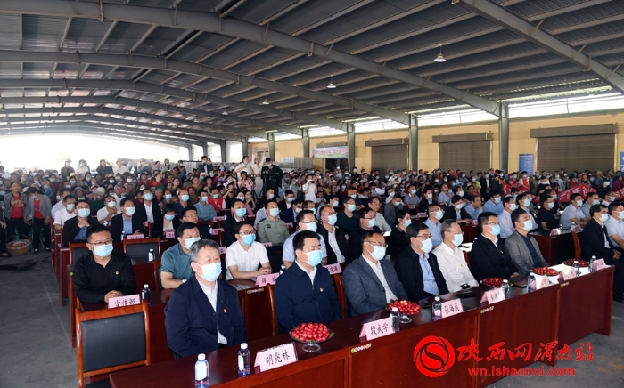 樱桃千万家 唯品方寨红 合阳第五届“方寨红”樱桃推介会举办（高清组图）