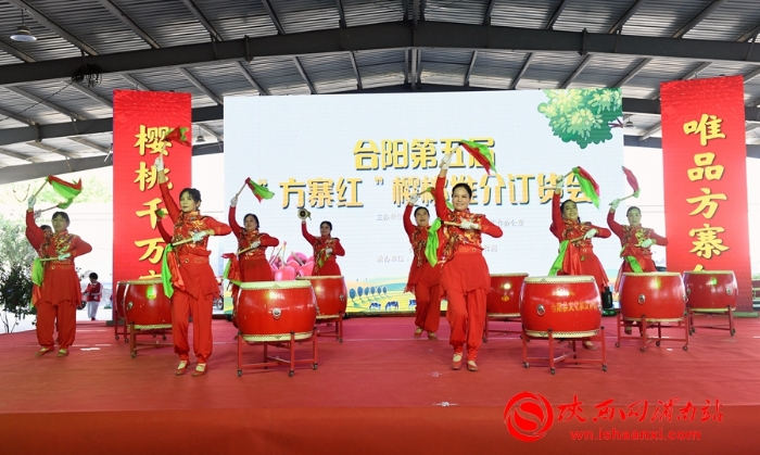 樱桃千万家 唯品方寨红 合阳第五届“方寨红”樱桃推介会举办（高清组图）