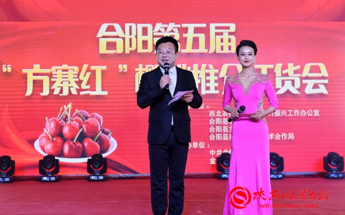 樱桃千万家 唯品方寨红 合阳第五届“方寨红”樱桃推介会举办（高清组图）