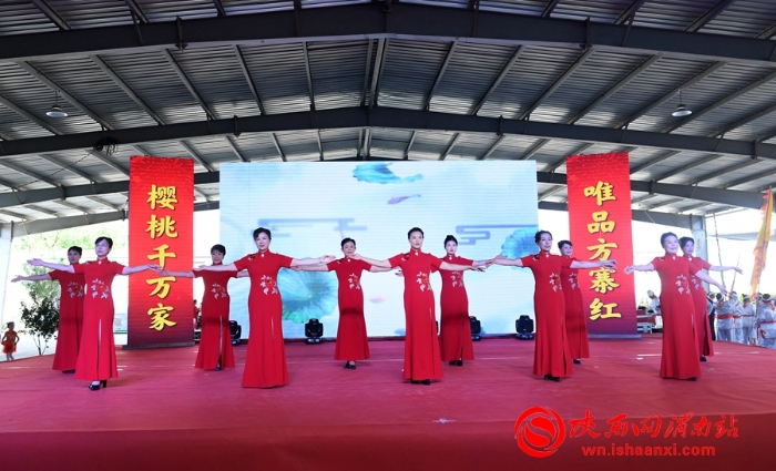 樱桃千万家 唯品方寨红 合阳第五届“方寨红”樱桃推介会举办（高清组图）