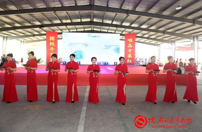 樱桃千万家 唯品方寨红 合阳第五届“方寨红”樱桃推介会举办（高清组图）