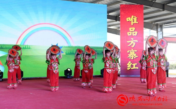 樱桃千万家 唯品方寨红 合阳第五届“方寨红”樱桃推介会举办（高清组图）