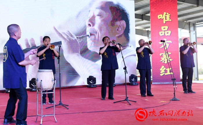 樱桃千万家 唯品方寨红 合阳第五届“方寨红”樱桃推介会举办（高清组图）