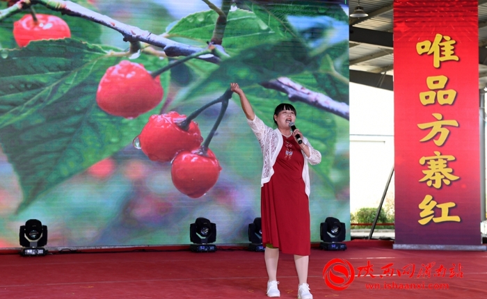 樱桃千万家 唯品方寨红 合阳第五届“方寨红”樱桃推介会举办（高清组图）