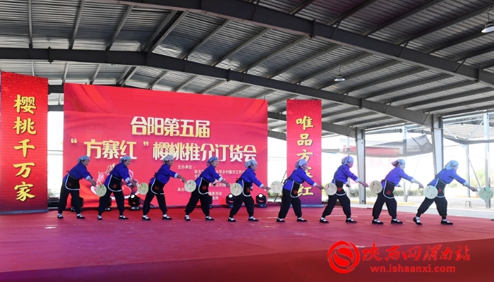 樱桃千万家 唯品方寨红 合阳第五届“方寨红”樱桃推介会举办（高清组图）