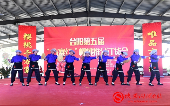 樱桃千万家 唯品方寨红 合阳第五届“方寨红”樱桃推介会举办（高清组图）