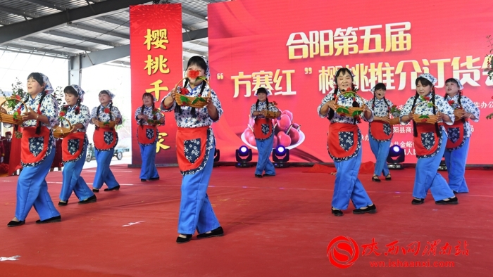 樱桃千万家 唯品方寨红 合阳第五届“方寨红”樱桃推介会举办（高清组图）
