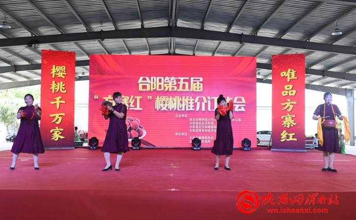 樱桃千万家 唯品方寨红 合阳第五届“方寨红”樱桃推介会举办（高清组图）