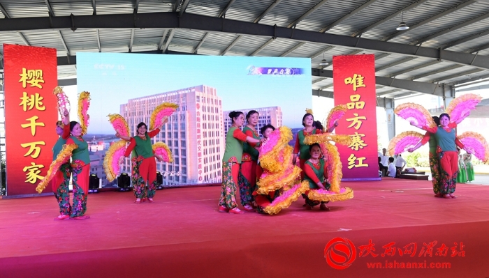 樱桃千万家 唯品方寨红 合阳第五届“方寨红”樱桃推介会举办（高清组图）