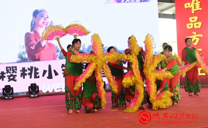 樱桃千万家 唯品方寨红 合阳第五届“方寨红”樱桃推介会举办（高清组图）