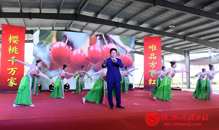 樱桃千万家 唯品方寨红 合阳第五届“方寨红”樱桃推介会举办（高清组图）