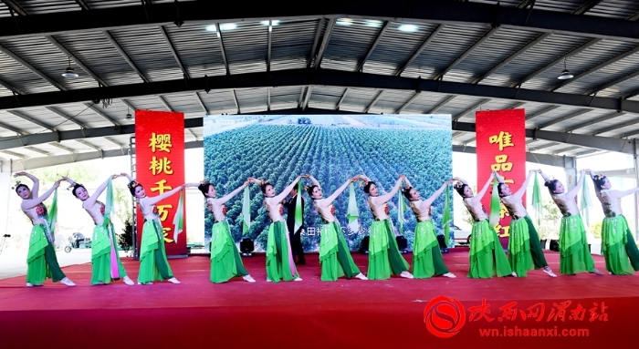 樱桃千万家 唯品方寨红 合阳第五届“方寨红”樱桃推介会举办（高清组图）