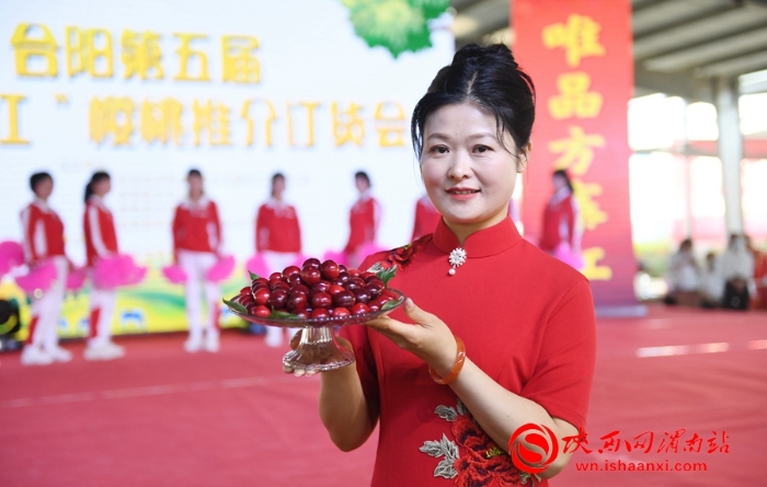 樱桃千万家 唯品方寨红 合阳第五届“方寨红”樱桃推介会举办（高清组图）