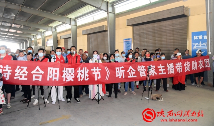 樱桃千万家 唯品方寨红 合阳第五届“方寨红”樱桃推介会举办（高清组图）