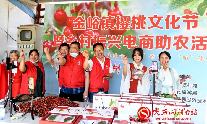 樱桃千万家 唯品方寨红 合阳第五届“方寨红”樱桃推介会举办（高清组图）
