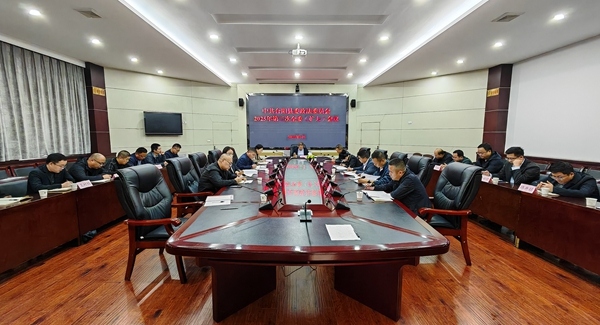 会议全景